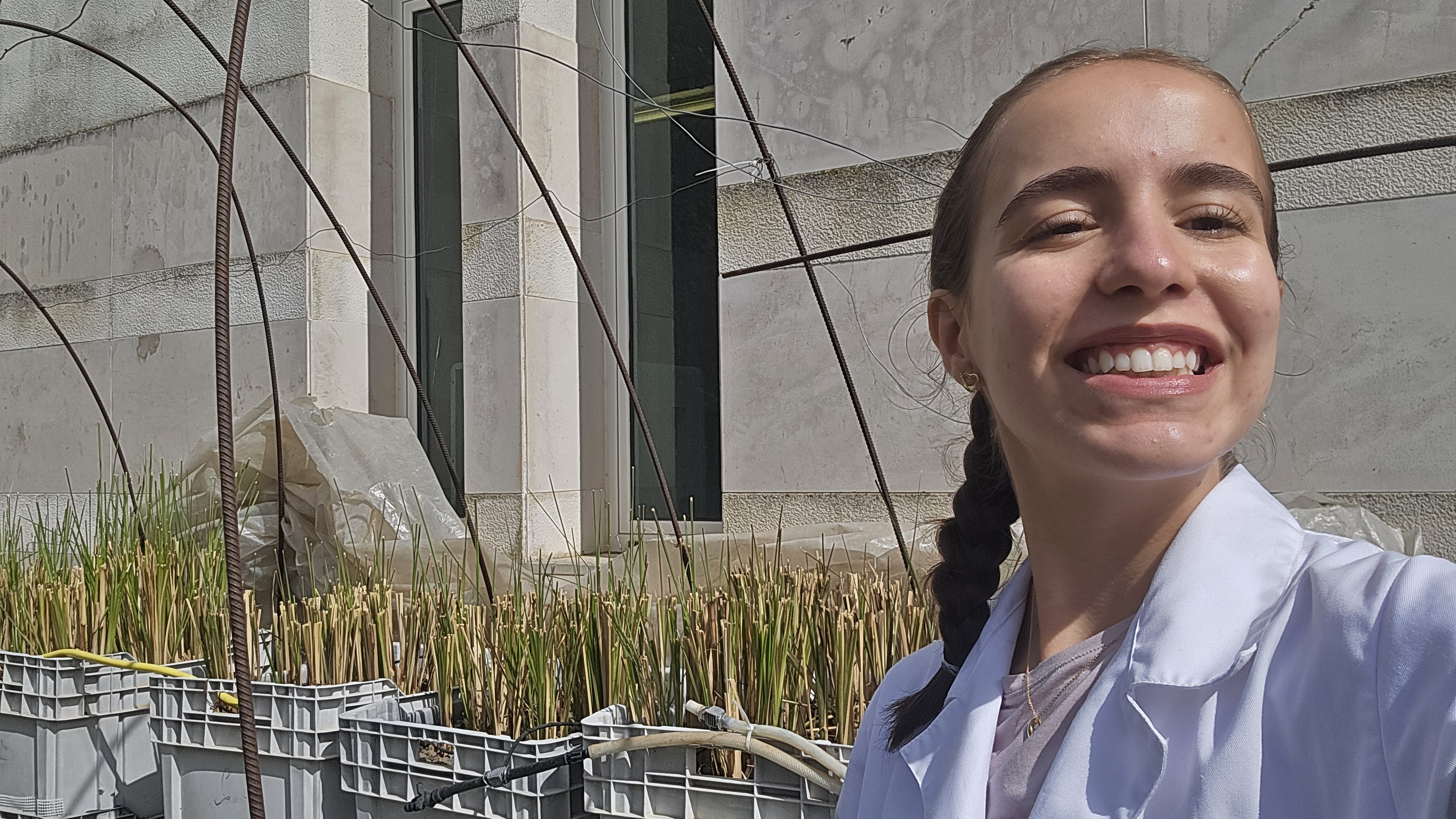 Garantir uma boa “alimentação” para as plantas que constituem a pesquisa é uma das tarefas da estudante.